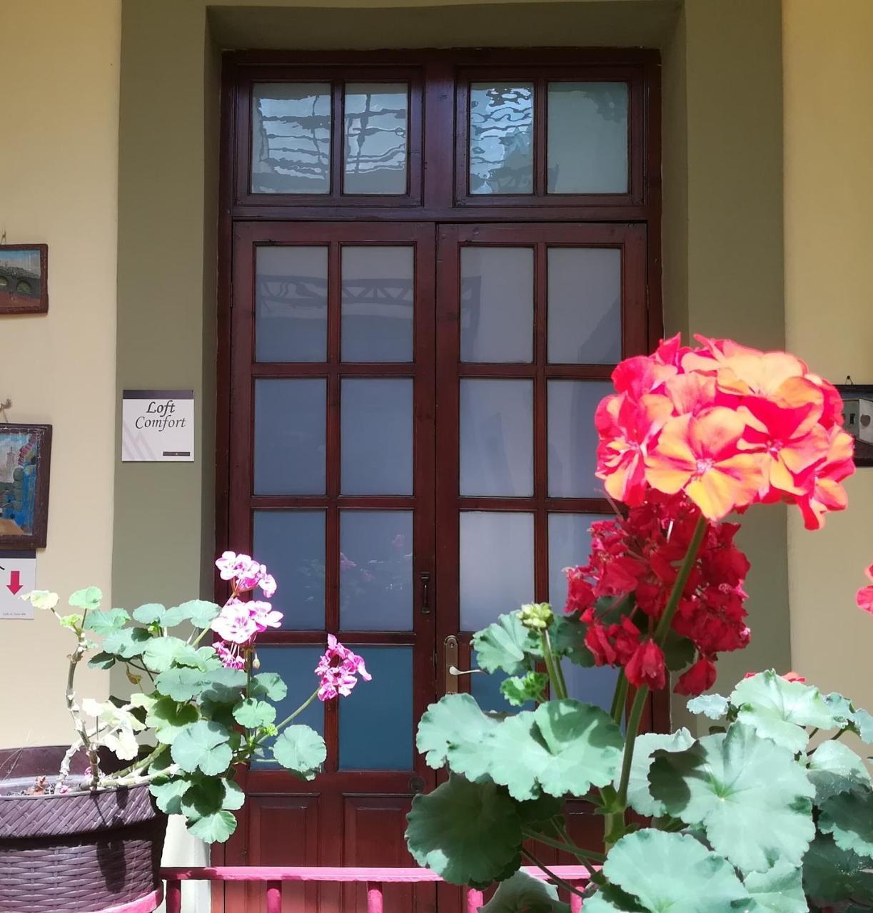 Casa Hotel Aroma 406 푸에블라 외부 사진